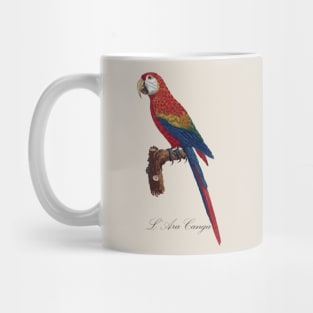 Scarlet Macaw Parrot / L' Ara Canga - Jacques Barraband 19th century Illustration Mug